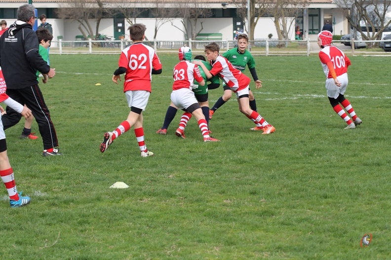IMG_7398.JPG
