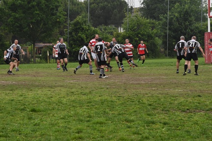 DSC 0419