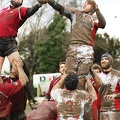 RUGBY-GRIFONI FIRST XV-TOUCHE VS FELTRE.jpg