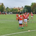 IMG 3637