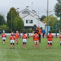 IMG 3642