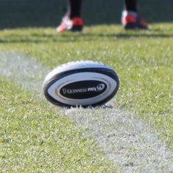 Treviso 23.02.2019  Pro 14 Benetton-Dragons