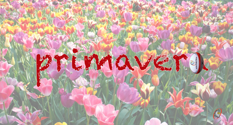 C9771B4D-15E9-4254-BB08-B84A1B1EAD0E.png