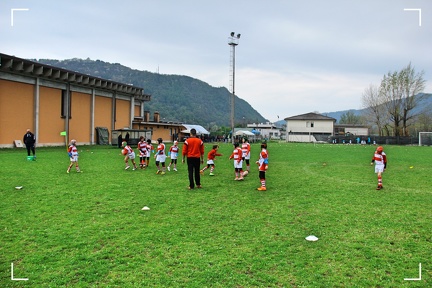 IMG 7081