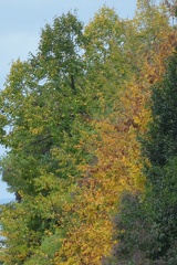 DSC 0537