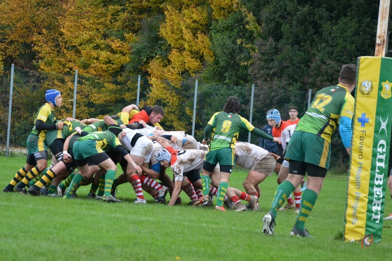 DSC_0486.JPG