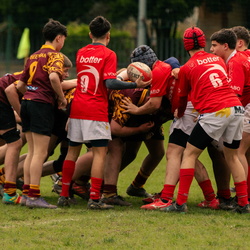 Montgomery_rugby_cup