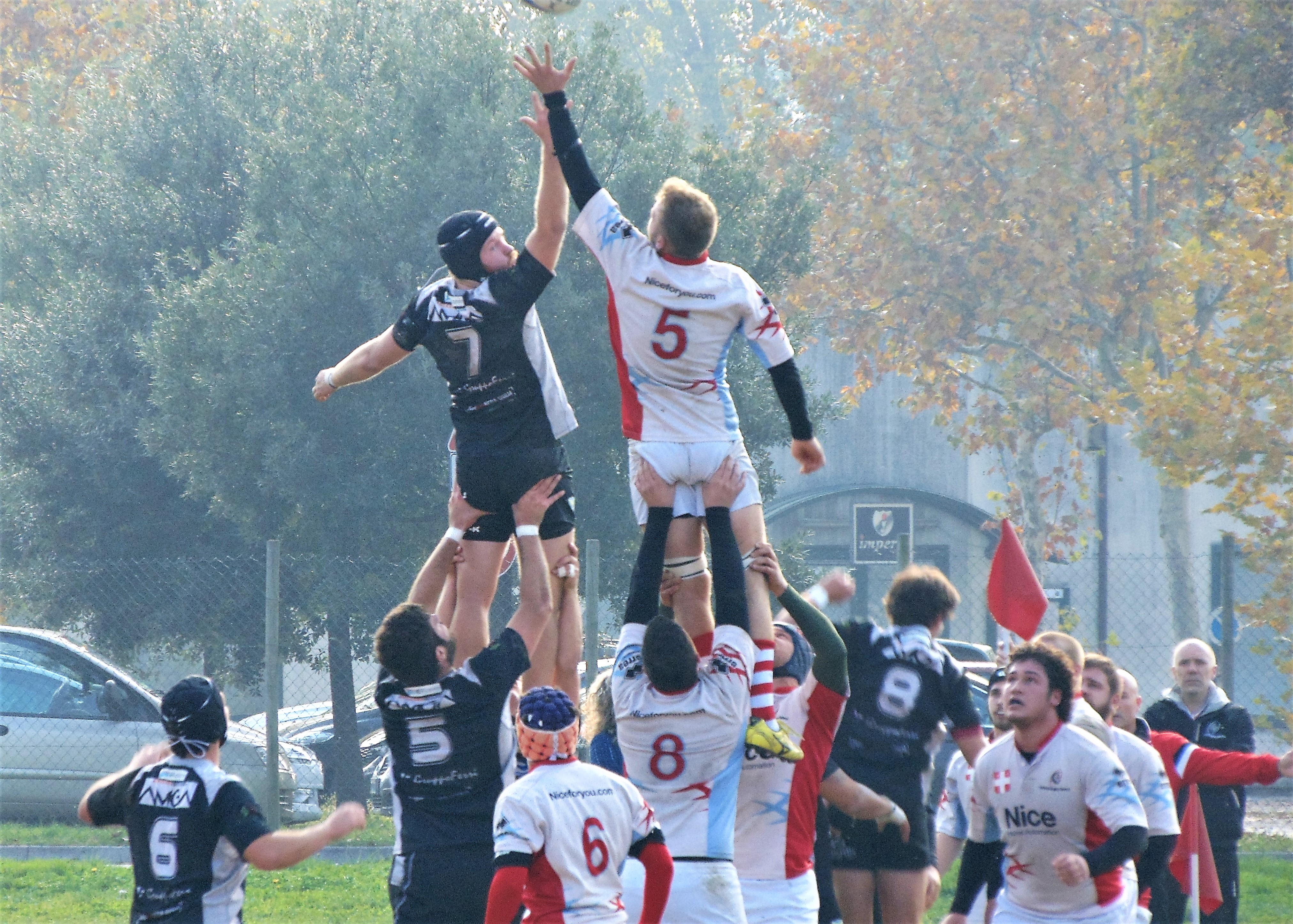 udine